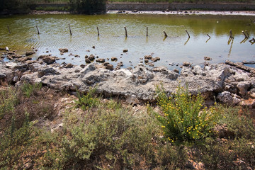 Cala Mondrago natural reserve park