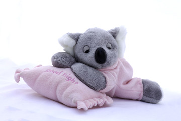 teddy bear Cola Sleeping on a pink pillow