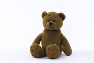 soft toy teddy bear on white background.