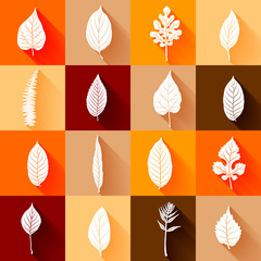 Autumn colorful leaves set vector