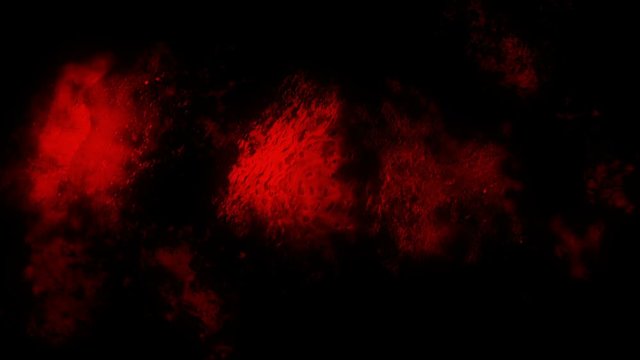 Animated red horror abstract looping motion background  