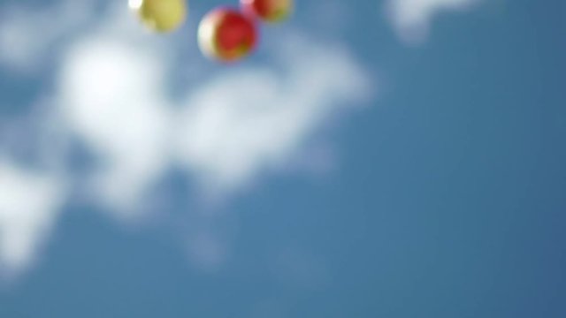 Female hand throw up apples on a background of blue sky. Apples are falling down. Red ripe apples. Slowmotion