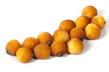  Collection of Natural Ripe Orange Palm Dates