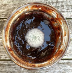 Pflaumenmus mit Schimmel in der Nahaufnahme