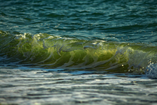 The wave highlighted by the sun