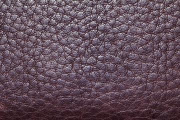 Red brown leather texture or leather background for design with copy space for text or image.
