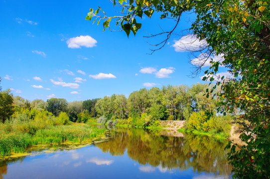 Beautiful landscape nature with the river, wood and blue sky. Countryside view summer season. 