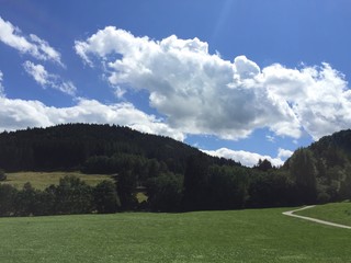 View of the green field and sky