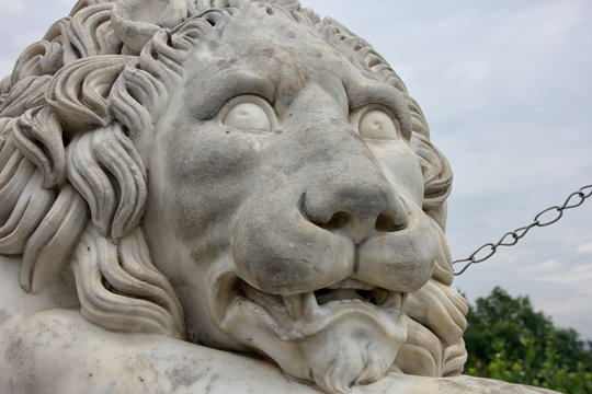 big marble lion head of old marble lion statuary