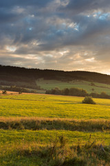 Naklejka premium Summer sunset landscape