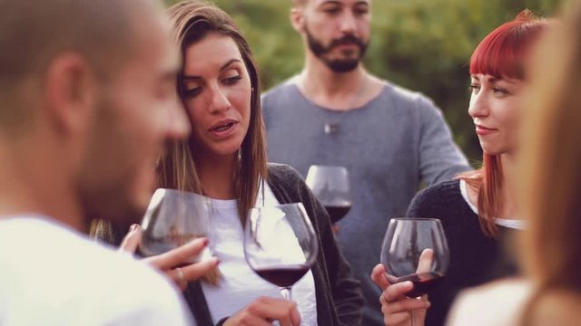 Group of friends toasting with red wine in the vineyard
