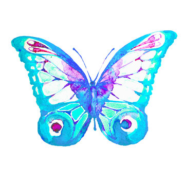 butterfly,watercolor, isolated on a white