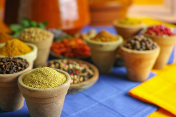 Collection of different spices in old clay bowls in colorful oriental style