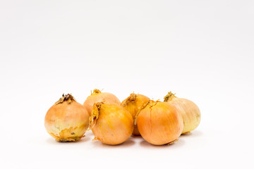 Isolated group of onions on the white background