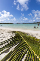 Beaches from Saint Martin, French West Indies in Caribbean