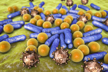 Microbes of different shapes