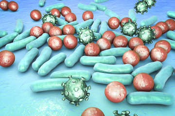Microbes of different shapes