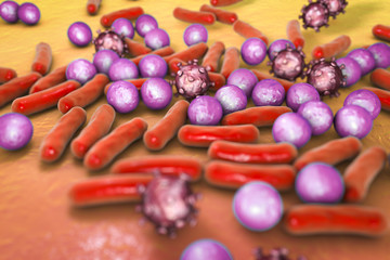 Microbes of different shapes