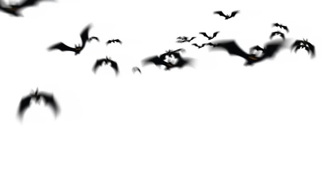 Halloween Swarm of Bats Flying towards Camera (Green Screen / Chroma Key)