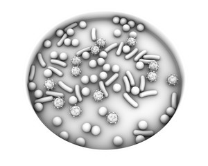 Petri dish with microbes of different shapes. Concept for laboratory diagnosis of infections. 3D illustration. Black-and-white image. Bacteria and viruses