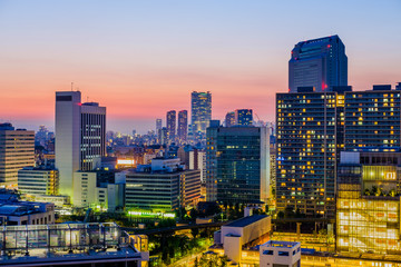 Tokyo Skyline in the Evening