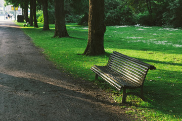 Fototapeta premium Wooden bench in lush green parkland in summer