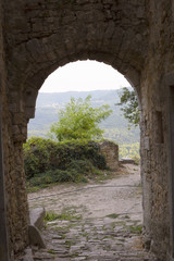 Fototapeta na wymiar Motovun old town landscape - Istria, Croatia