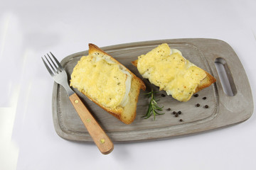 tartines au fromage 21092016