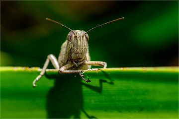Über den Rand geschaut.