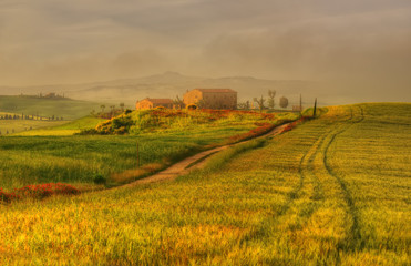 Tuscany Farmhouses In the Morning Mist