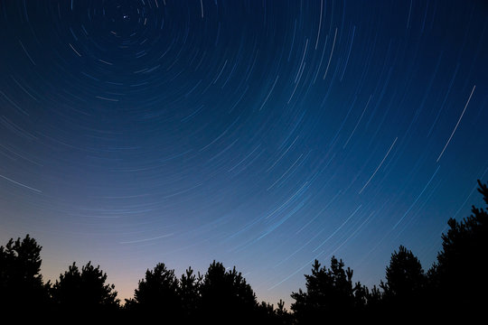  Star trail in the night sky.  Against the background of tree cr