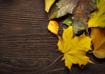 autumn leaf on wood background (top view)