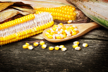 Corn, corn on the cob