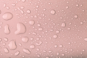 Drops of water on a color background. Pink. Toned