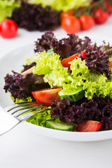 Fresh salad with green and purple lettuce, tomatoes and cucumbers on white wooden background close up. Healthy food.