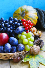 Autumn fruits assortment with grapes, plums, apples and walnuts