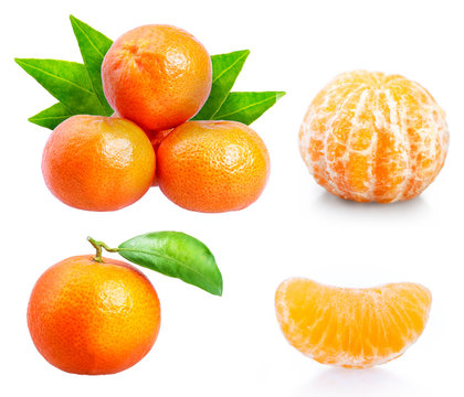 Citrus mandarin Set