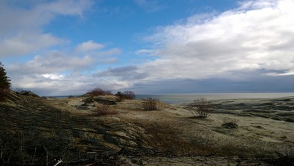 Панорамный вид на Куршскую косу со смотровой площадки