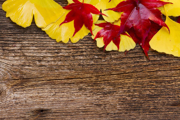 Naklejka na ściany i meble Fall leaves on wooden background