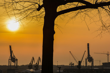 Fototapeta premium wschód słońca - port