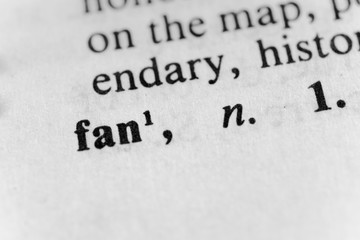 Fan
