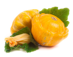 two yellow pattypan squash with leaf and flower isolated on white background