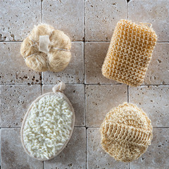 anti-cellulite sponges and loofahs for concept of dry brushing