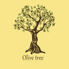Logo of olive tree with berries on branches