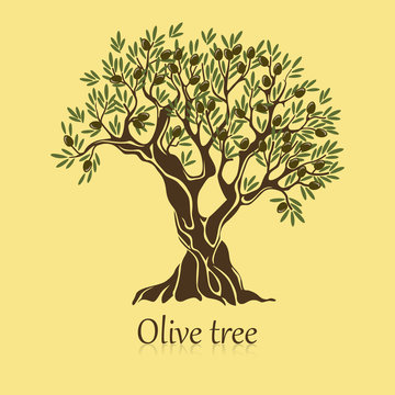 Olive tree with branches and berries logotype