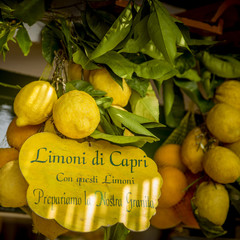 Lemons from Capri island, Italy