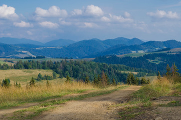 Fototapeta premium Carpathian mountains in the west part of Ukraine
