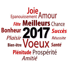 2017 - Bonne année