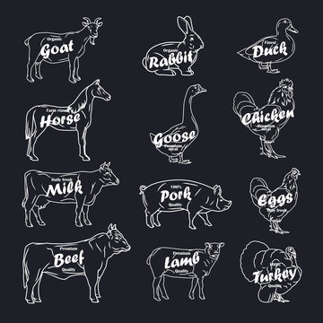 farm animals vector collection. Butchery logo and label with text