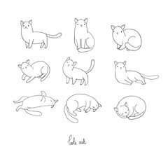 Set of different doodle poses cat. Pets.